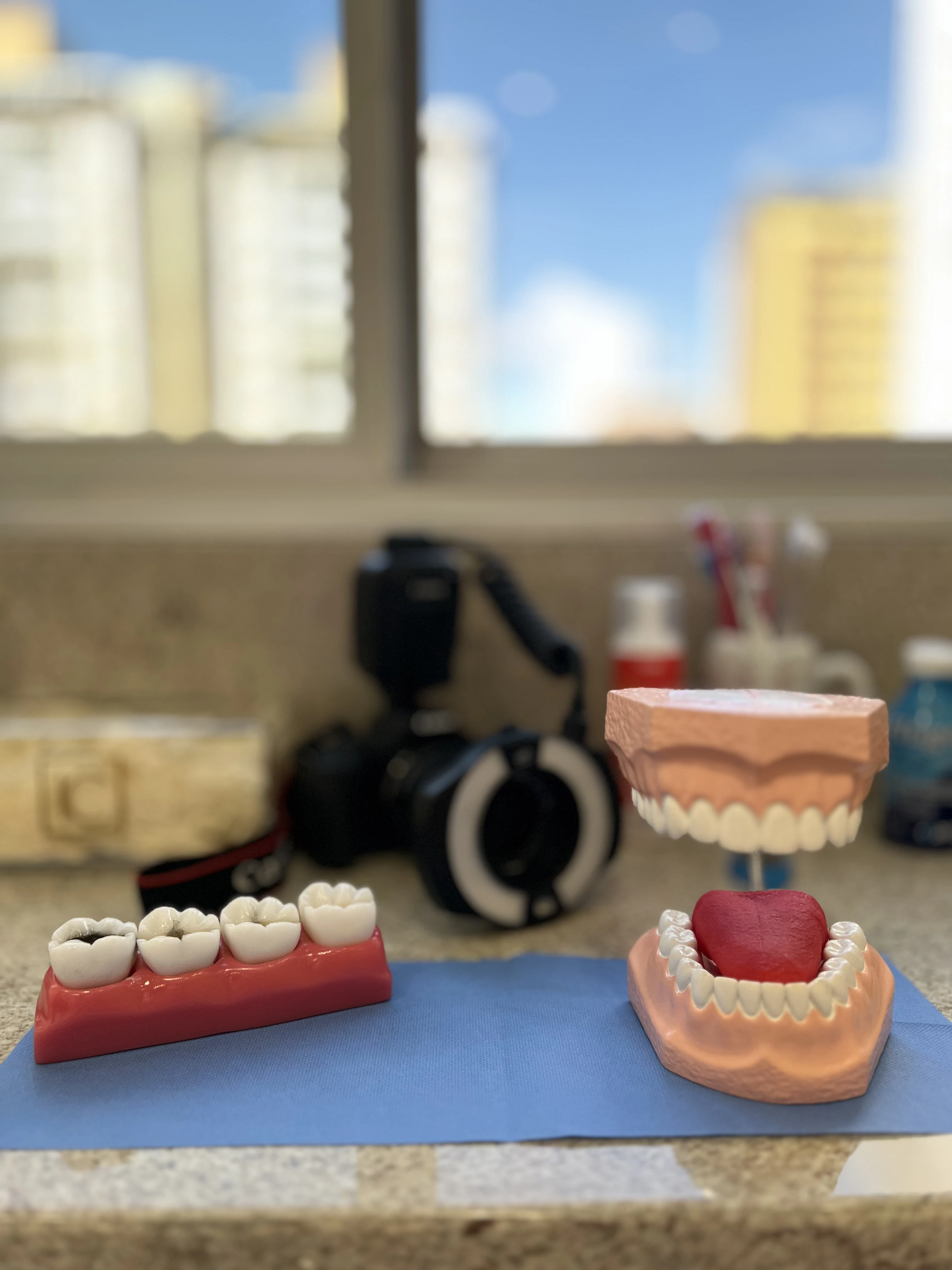 Foto da galeria 27
